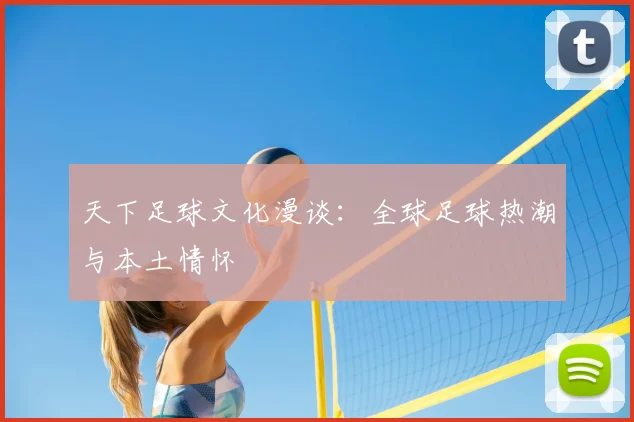 天下足球文化漫谈：全球足球热潮与本土情怀