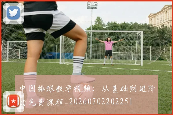 中国排球教学视频:从基础到进阶的免费课程_20260702202251