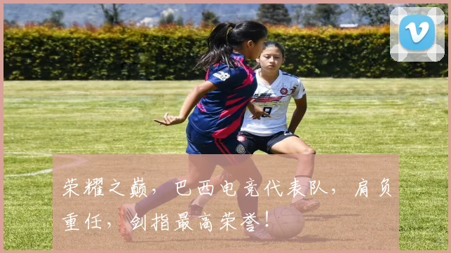 荣耀之巅,巴西电竞代表队,肩负重任,剑指最高荣誉!